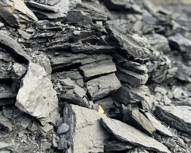 coal1.jpeg.376x300_q85_crop